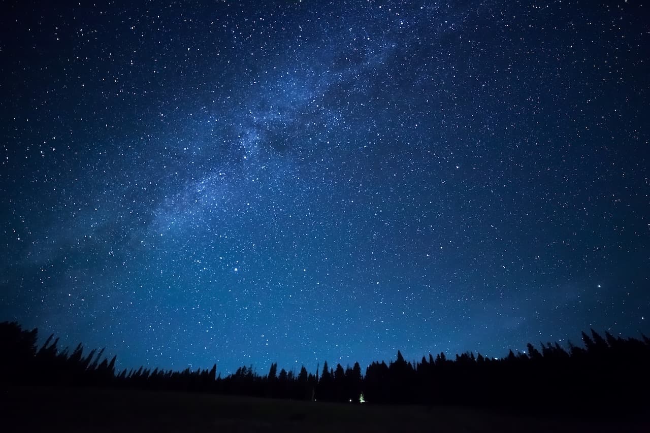 Milky Way over pine forest at Camp Stevens